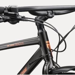 VELO MONGOOSE ROGUE 2021 -Velo Orange Soldes capture d ecran 2022 07 12 a 12 14 20